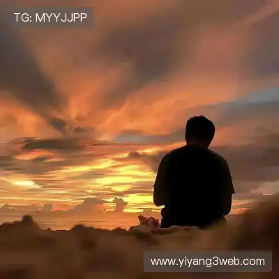 怀献义